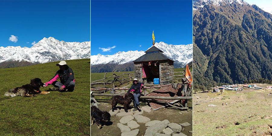 Chopta Chandrashila Trek